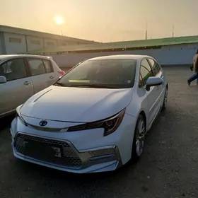 Toyota Corolla 2021