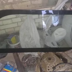 gapdal aýna ikisany