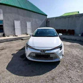 Toyota Corolla 2020