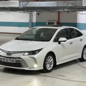 Toyota Corolla 2021