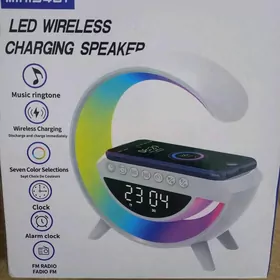 Swetilnik  (светильник)