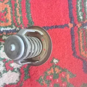 termastat duty kemri