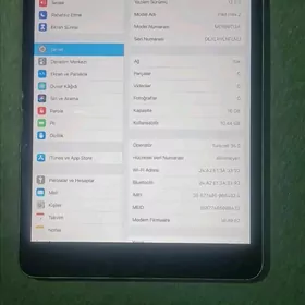 iPad mini 2