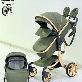 TIGIR SAMAKAT KALYASGA KACELYA