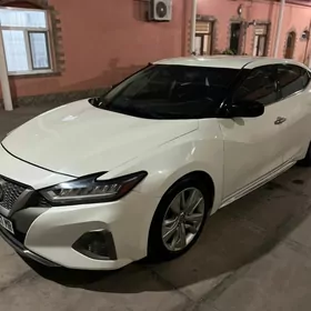 Nissan Maxima 2019