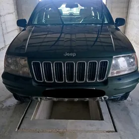 Jeep Grand Cherokee 2002