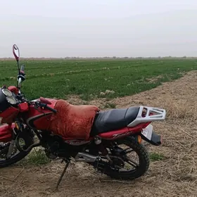 Fekon FK200-14G 2023