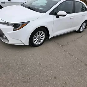 Toyota Corolla 2022