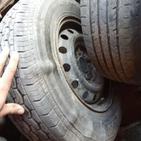 Grzawoý haýs zapasga