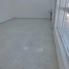 Stalawoý, kafe taýyn biznes