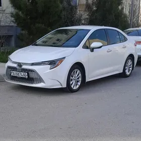 Toyota Corolla 2021