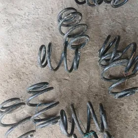 wectra pasažyny purzyn