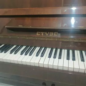 Фортепиано/Пианино