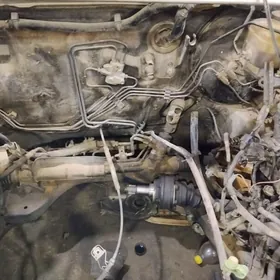 rlowoý kaloñka abýes