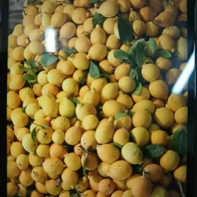 Limon nahal 33manat