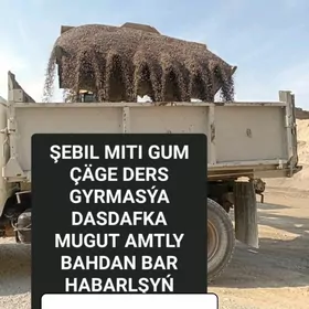 ŞEBIL MITI PULPA SEMENT KERPIÇ HALTALY SEMENT MITI GUM ДЕРС MYTY KERPIÇ GRAWY CAGE TOPRAK NALOWKA ELENEN MITI SEBIL KERAMSIT