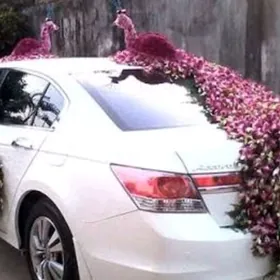 Оформление ,украшение, курте.