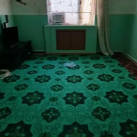 Mary Şaher Garagum koçe