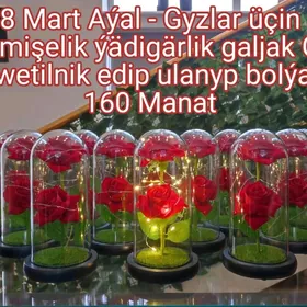 Aýal-Gyzlar Sowgady