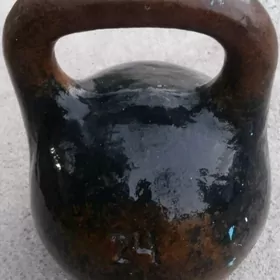 24 kg Sport uçin Girya