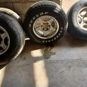 16 lyk jibiň diskasy