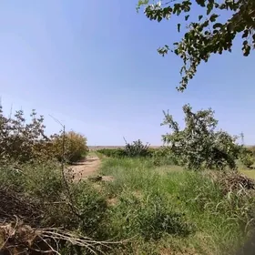 Uzumcilik mellek yer