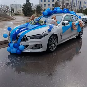 satlyk  maşyn bezeg  gyssagly