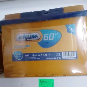 Akum 60Ah