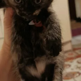 хорошие руки