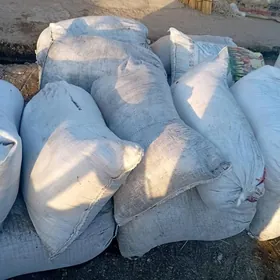 garlmadyk arassa ders