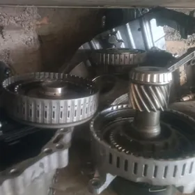 cemri karopka 2018 - 2024