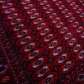 el haly ini 3 boŷy 3