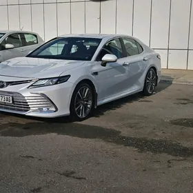 Toyota Camry 2019