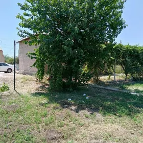 SatLyk Daca Karamyansk