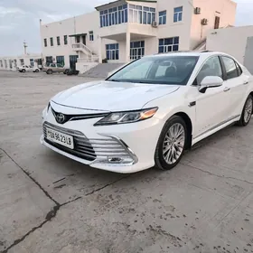 Toyota Camry 2020