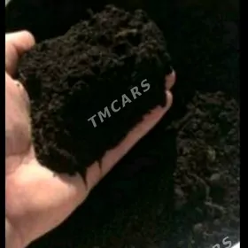 навоз арасса ders