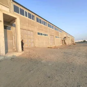 Arende sklad Ammarlarda