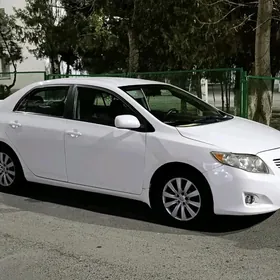 Toyota Corolla 2009