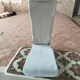 sienna kiçi sideniýa