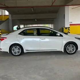 talyp gatnatmaly bolsa