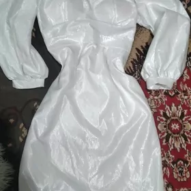 койнеклер вечерний