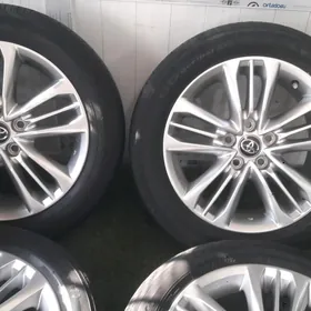 R17 gylyc cemri diska