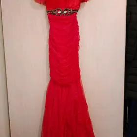 КОЙНЕК ВЕЧЕРНИЙ