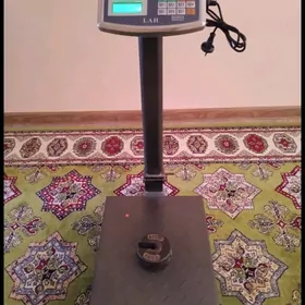 TEREZI-150-KG.《LAH》