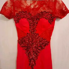 КОЙНЕК ВЕЧЕРНИЙ