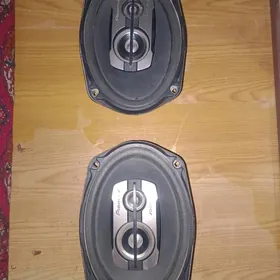 PIONNER 2 SANY KOLONKA  650 W