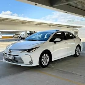 Toyota Corolla 2023