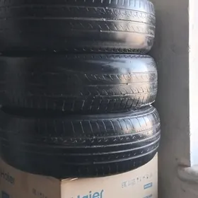 Pakryşka balon 14lik