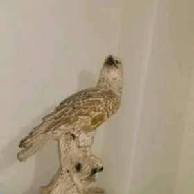 Heýkel  Guş Скульптура