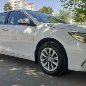 Waditelçylyk iş Gözleýän